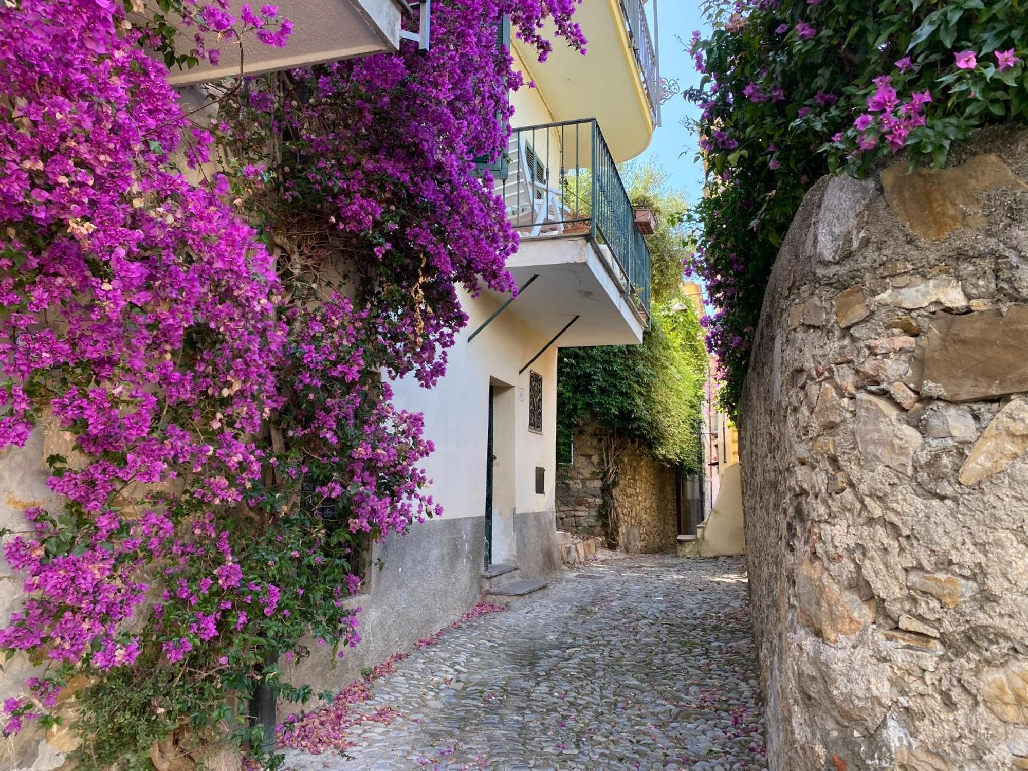 La Finestra Sul Borgo Bed and Breakfast Cervo Exteriör bild